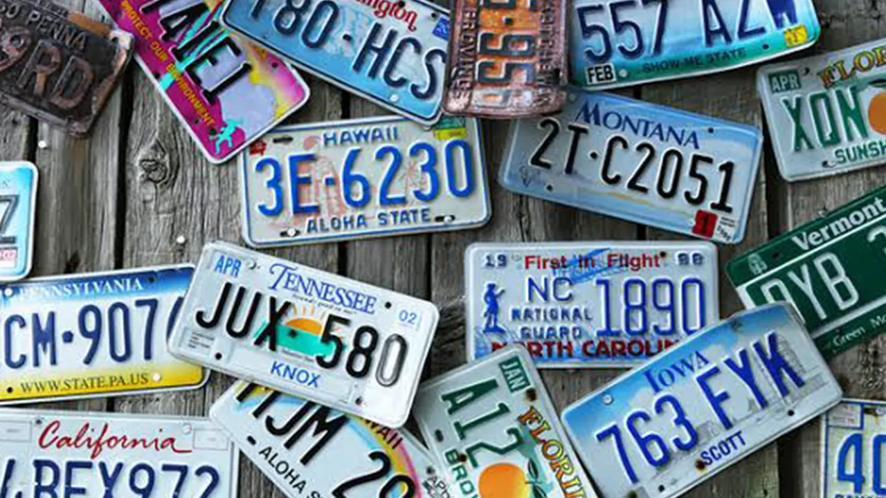 what states have blue license plates